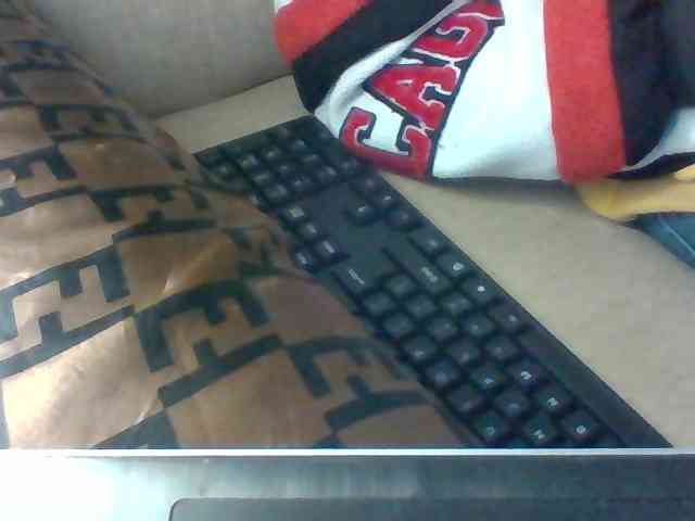 Dollie webcam
