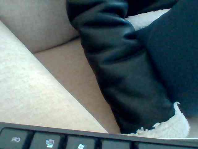 Dollie webcam