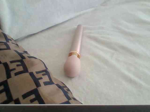 Dollie webcam