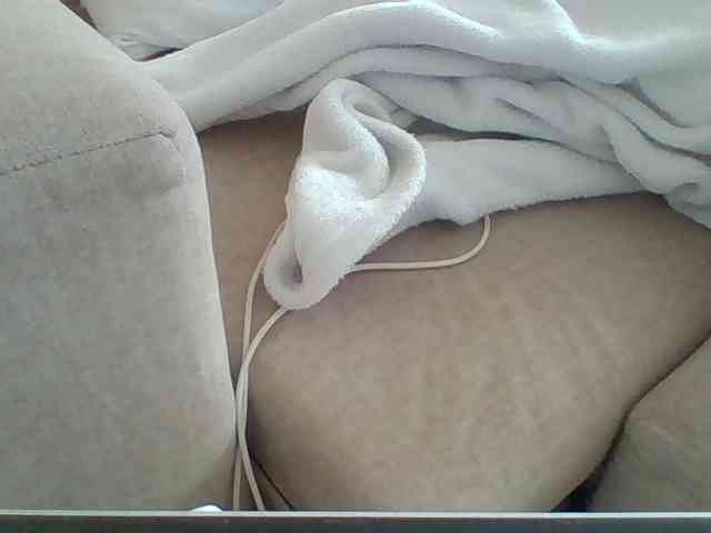 Dollie webcam