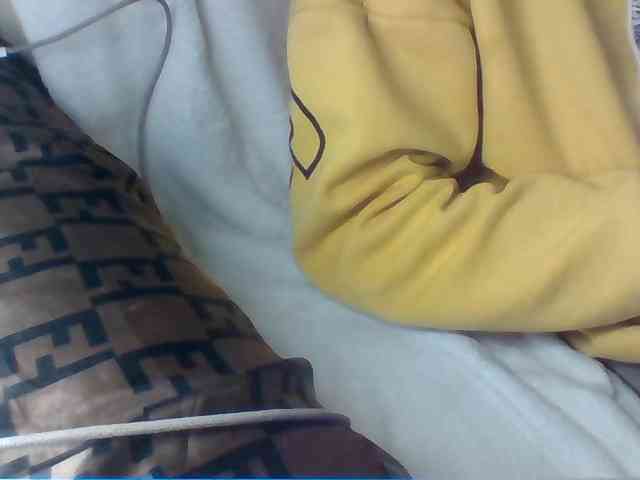 Dollie webcam