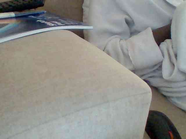 Dollie webcam