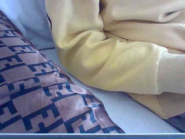 Dollie webcam