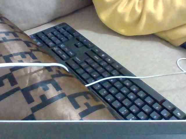 Dollie webcam