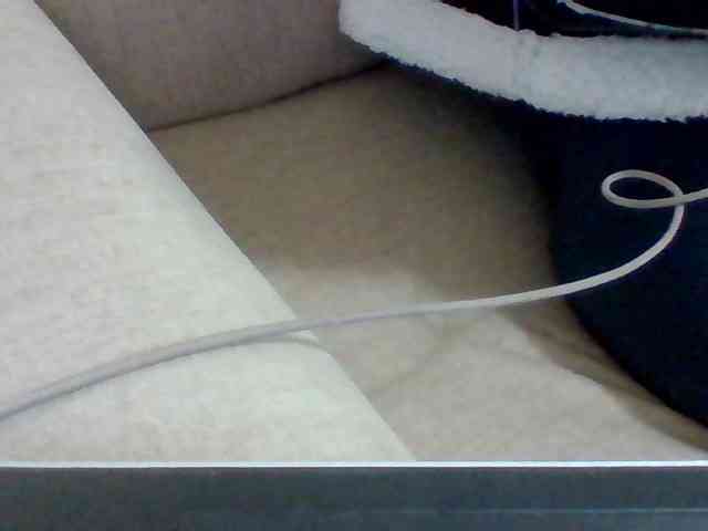 Dollie webcam