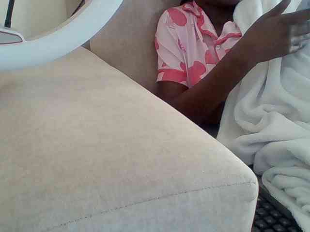Dollie webcam