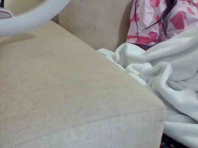 Dollie webcam
