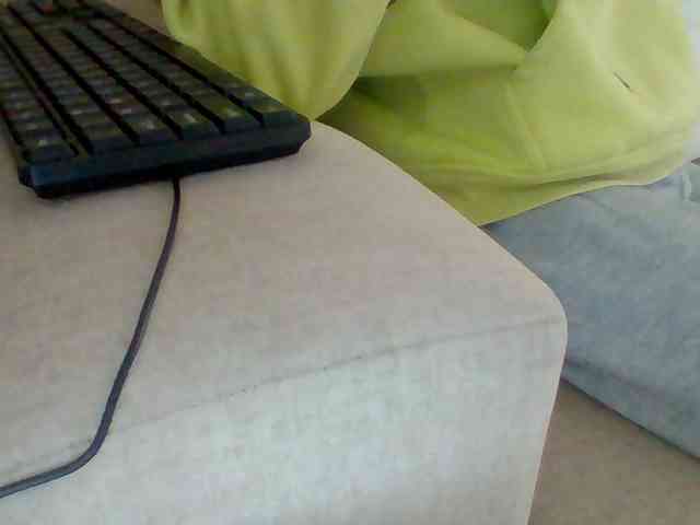 Dollie webcam