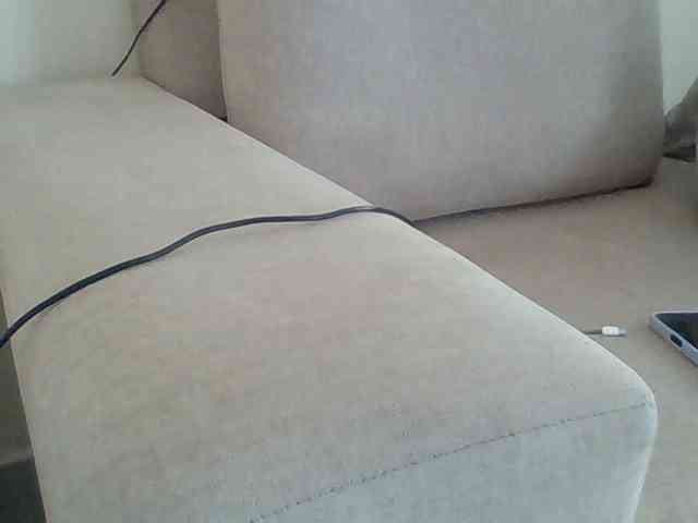 Dollie webcam