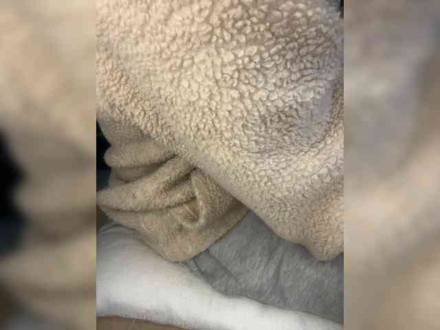 Dollie webcam
