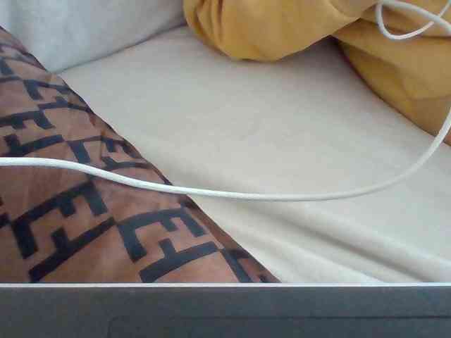 Dollie webcam