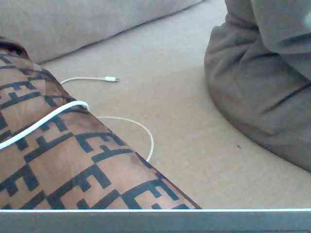 Dollie webcam