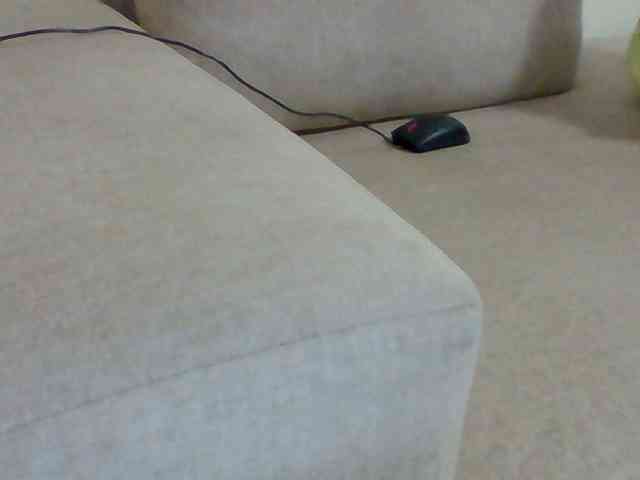 Dollie webcam