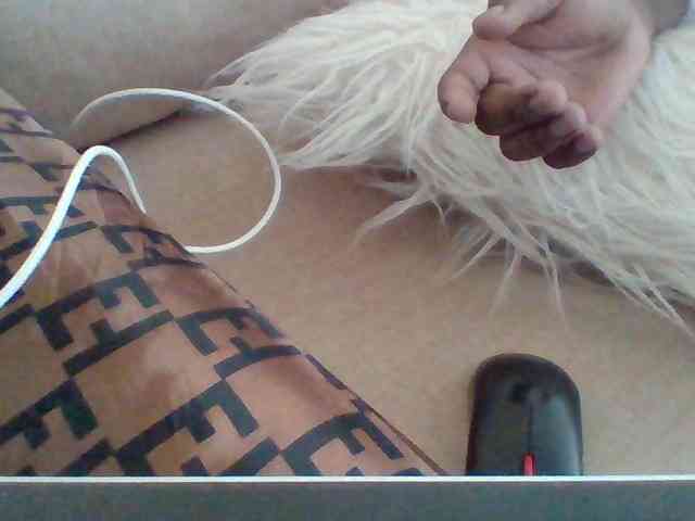 Dollie webcam