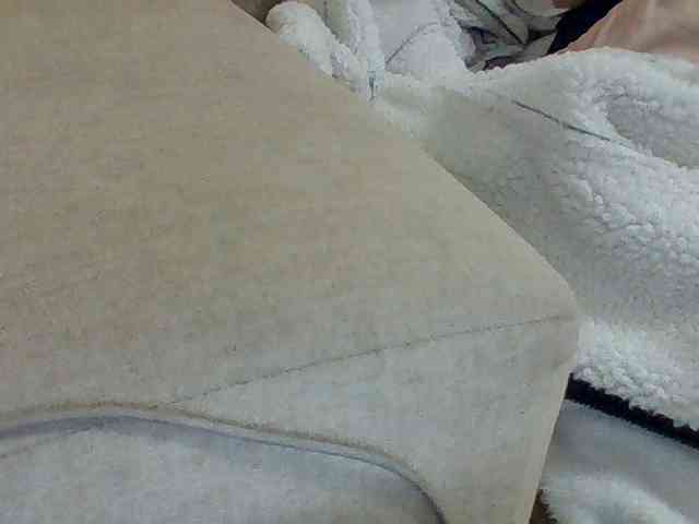 Dollie webcam