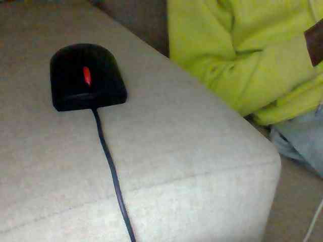 Dollie webcam