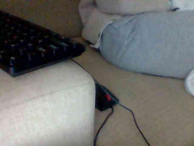 Dollie webcam