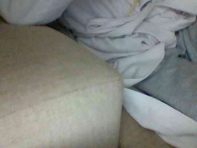 Dollie webcam