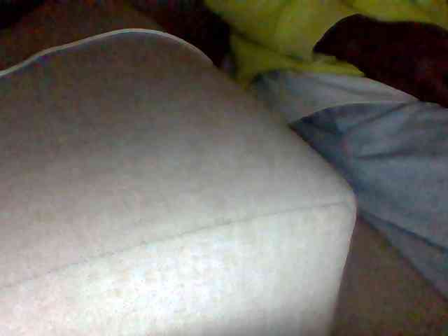 Dollie webcam