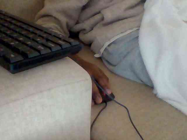 Dollie webcam