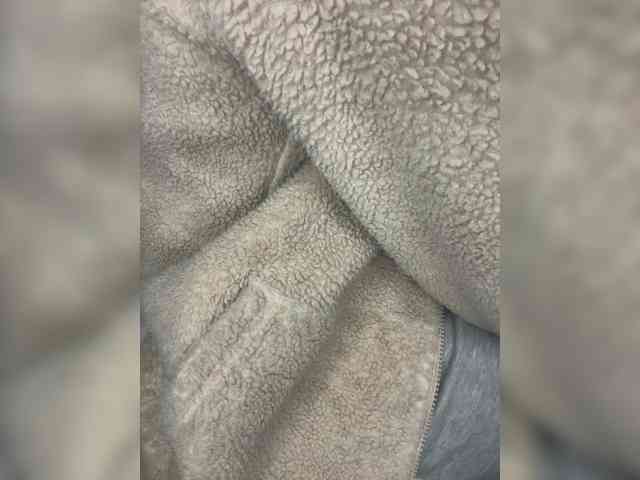 Dollie webcam