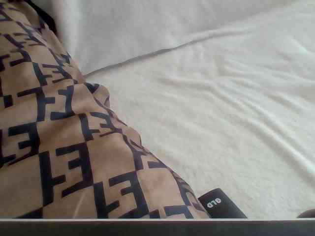 Dollie webcam