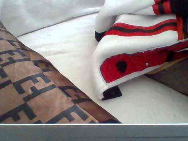 Dollie webcam