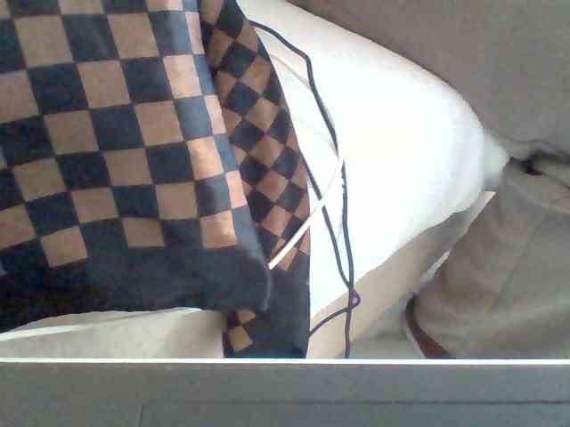 Dollie webcam