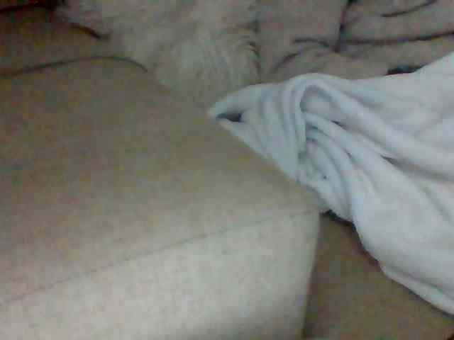 Dollie webcam