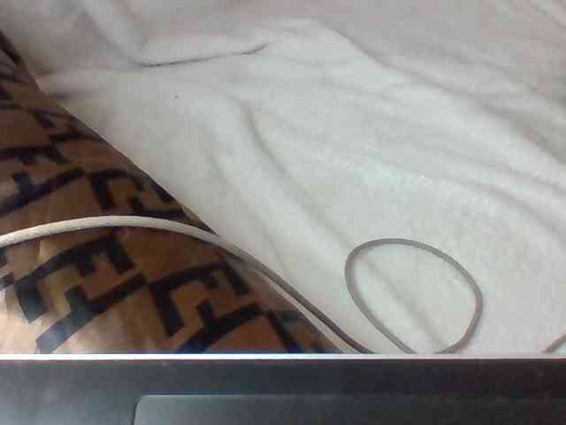 Dollie webcam