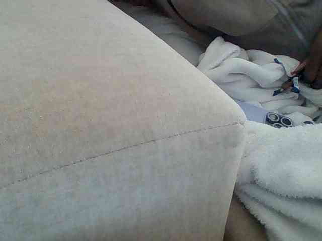 Dollie webcam