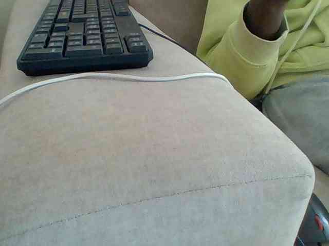 Dollie webcam