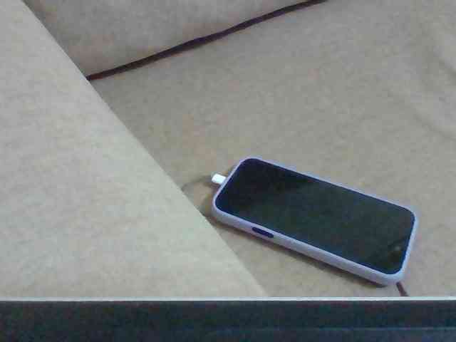 Dollie webcam