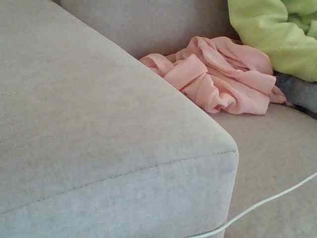 Dollie webcam