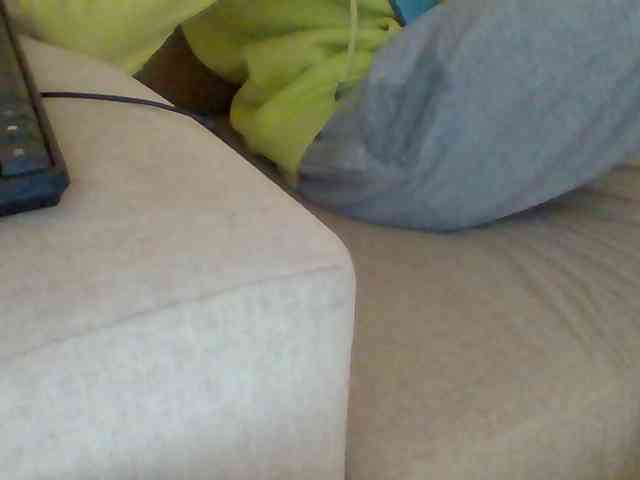 Dollie webcam