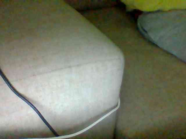 Dollie webcam