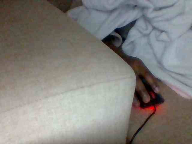 Dollie webcam