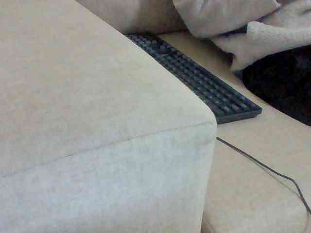 Dollie webcam