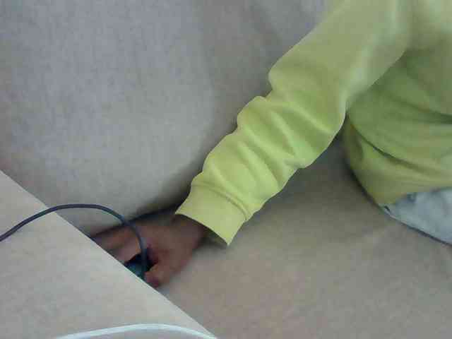 Dollie webcam