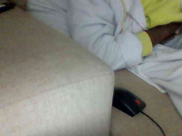 Dollie webcam