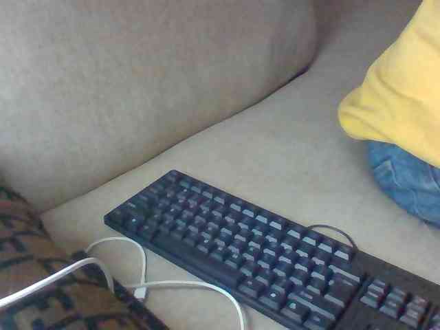 Dollie webcam