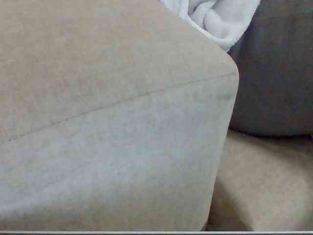 Dollie webcam