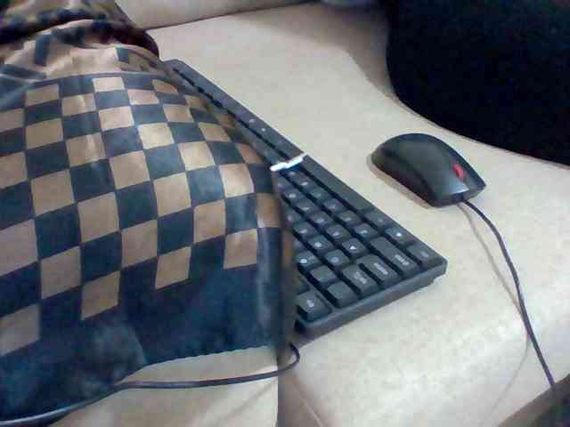 Dollie webcam