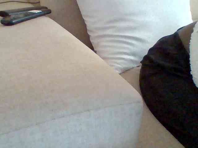 Dollie webcam