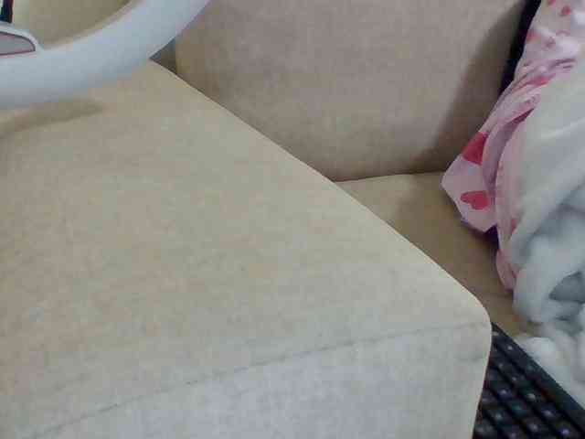 Dollie webcam