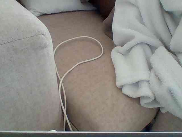 Dollie webcam