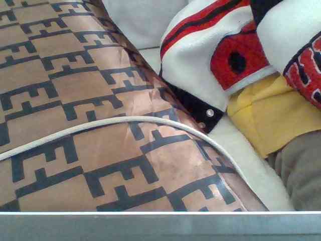Dollie webcam