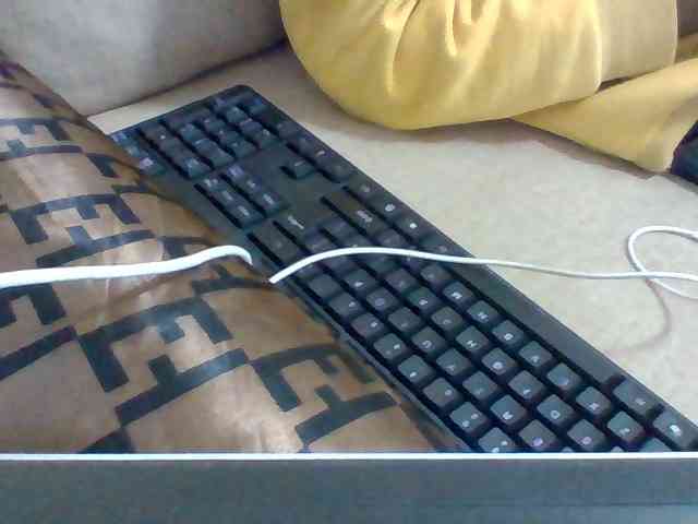 Dollie webcam