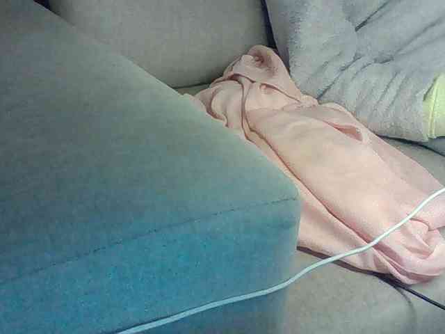 Dollie webcam