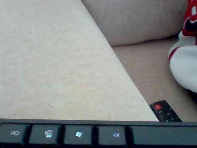 Dollie webcam